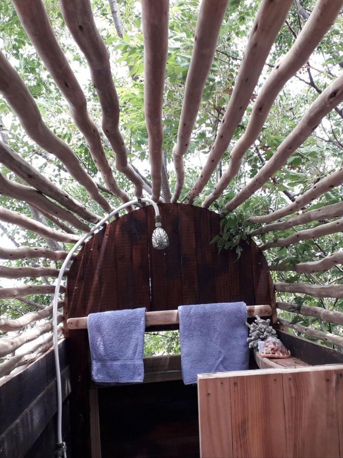Scarborough Nature Lodge Cape Town Bagian luar foto