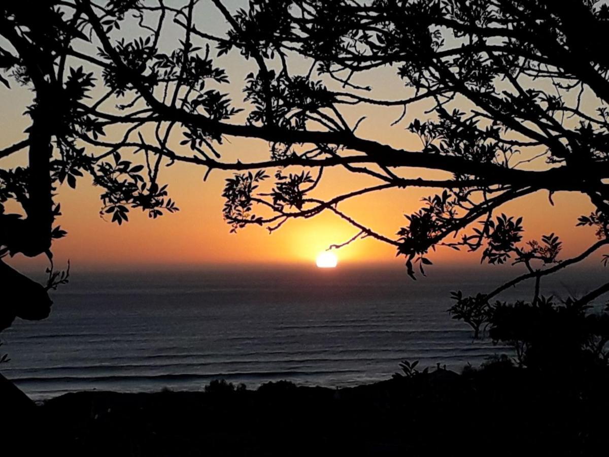 Scarborough Nature Lodge Cape Town Bagian luar foto