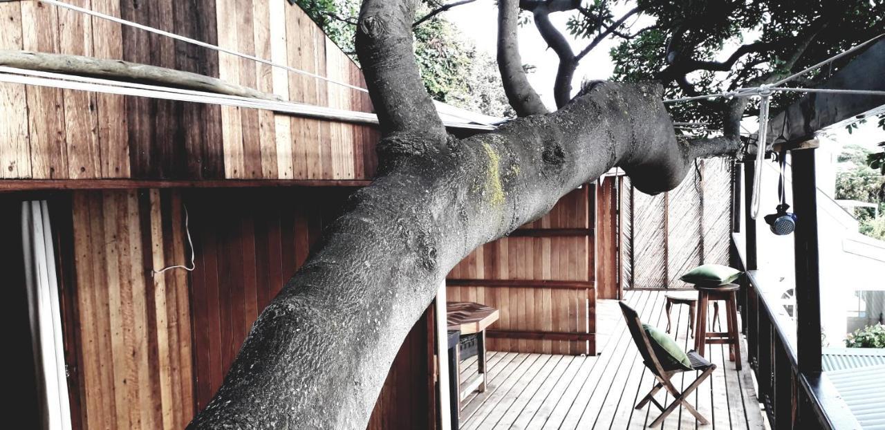Scarborough Nature Lodge Cape Town Bagian luar foto